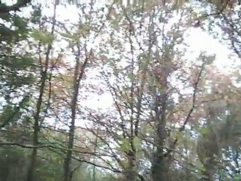Arret sur Bécasse