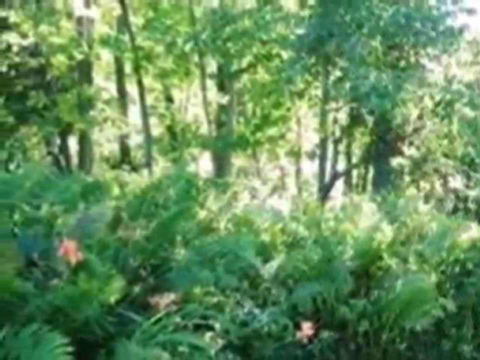Homes for Sale - 7140  Sauk Trail Beach - Belgium, WI 53004