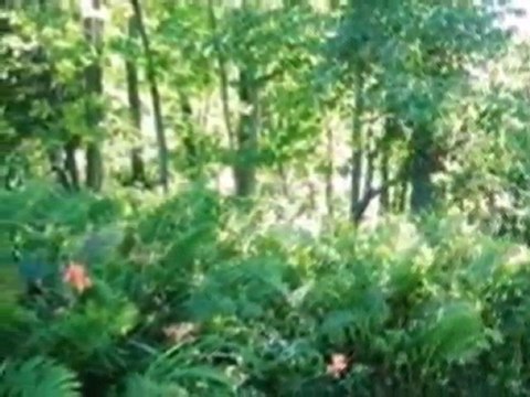 Homes for Sale - 7140 Sauk Trail Beach - Belgium, WI 53004