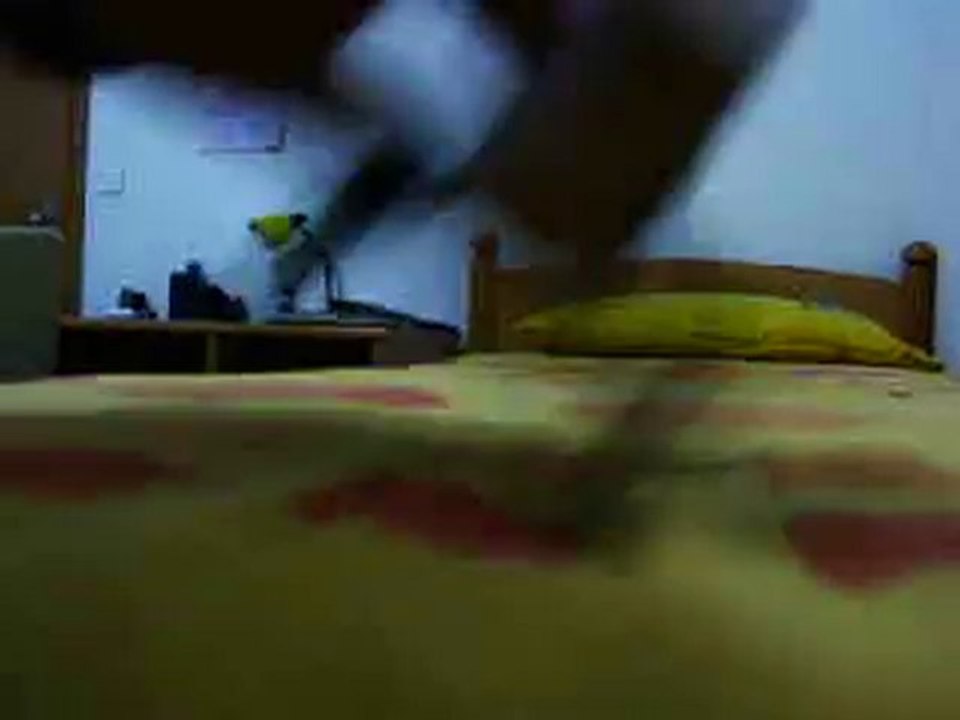 coin coin rencontre ma caméra