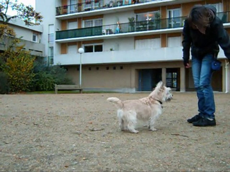 Jouet dolbie