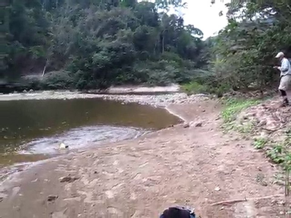 Fin du combat avec le dorado d 11 kg!