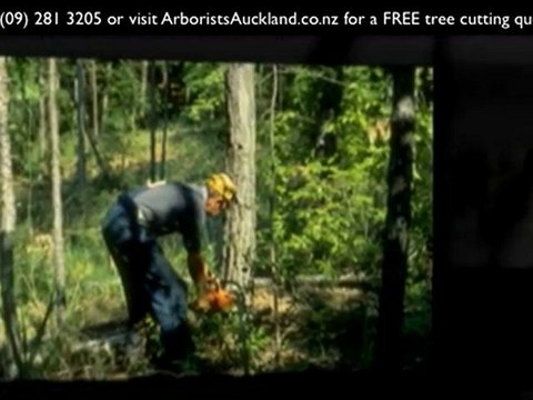 Tree Cutting Auckland: Ph (09) 2813205 for a tree cuttling