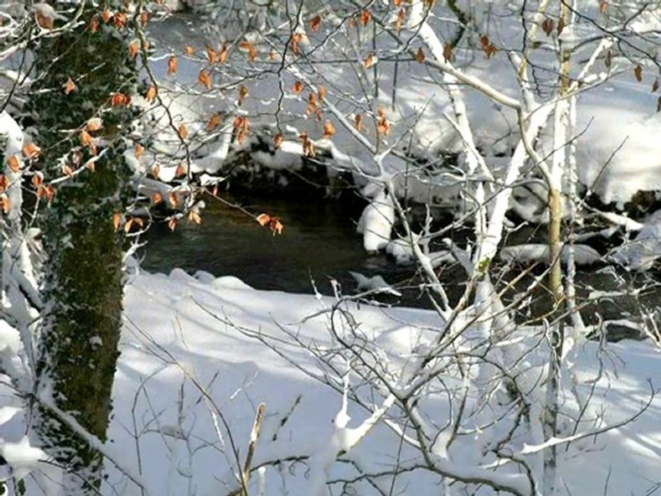 Neige 02 démo