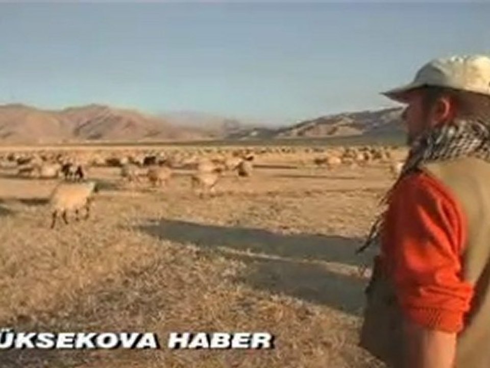 Şivan - Çoban - YÜKSEKOVA HABER