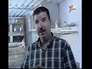 süs kuşları üretim video www.guvercinrehberi.com