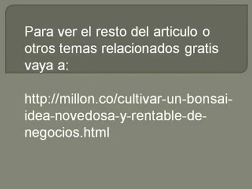 Cultivar un bonsai  Idea novedosa y rentable de negocios