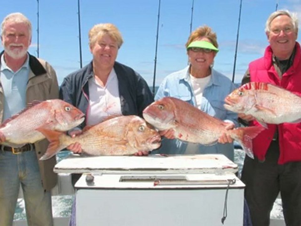Bay of Islands, Fishing, Paihia, Charter, trip, tour