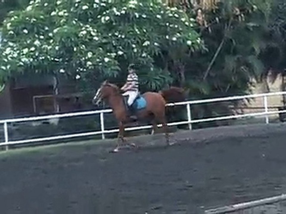 17.11.10 - cours obstacle - LéaHoppy2