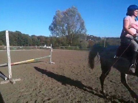 Exo de Suz novembre 2010 012