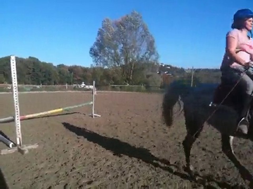 Exo de Suz novembre 2010 012