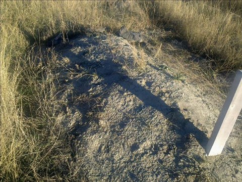 kars sarıkamış armutlu köyü