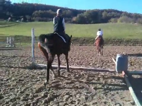 Au trot sur l'exo novembre 2010 013