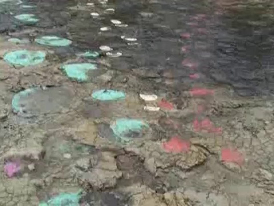 Empreintes de dinosaures