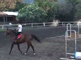 17.11.10 - cours obstacle - LouiseQaty2