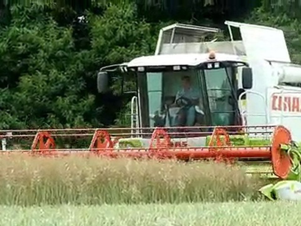 Moisson colza 2010 avec une claas lexion