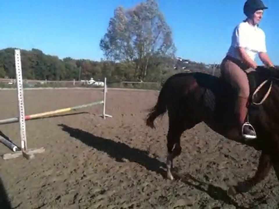 Moi sur l'exo début novembre 2010 053