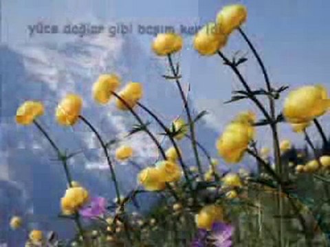 Eylem Aktaş-Kömür Gözlerin