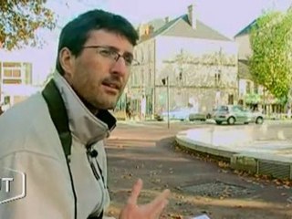 Irruption des étourneaux (Vendée)