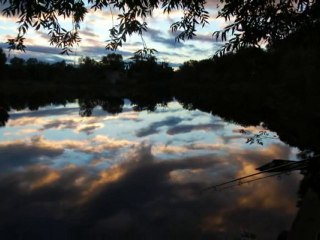 Miroir 18 kg  15kg commune 15kg  etc   combat fish spot