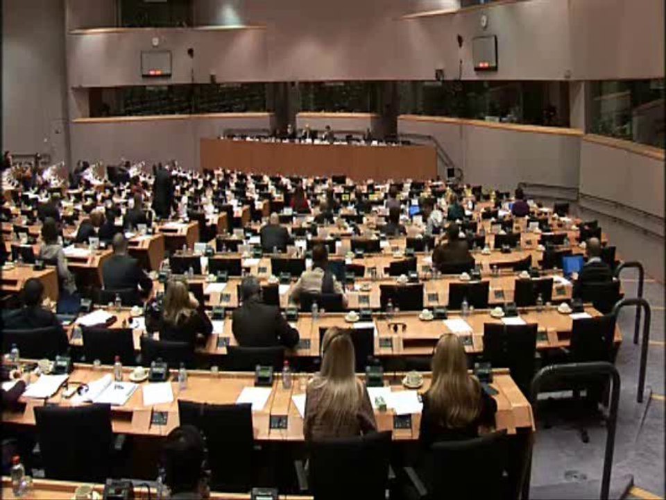 Dominique Baudis présente rapport UE/CCG (181110)