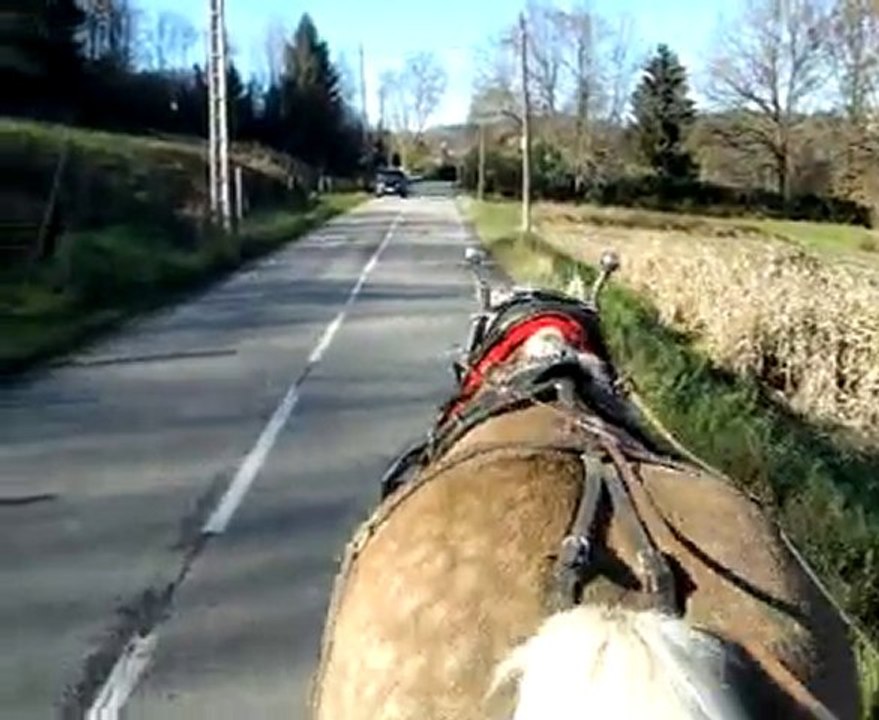 balade 19 11 2010