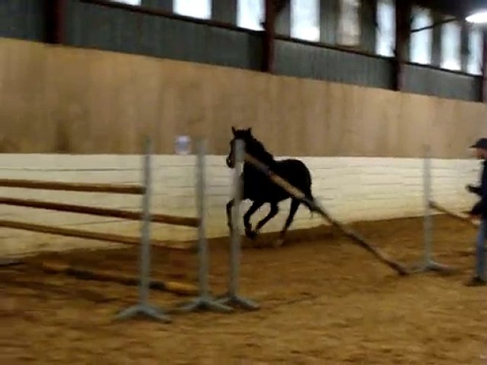 SKA LIB 1