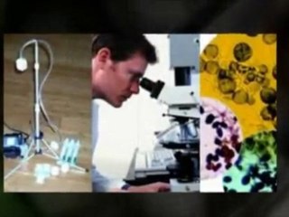 "Los Angeles Mold Inspections"