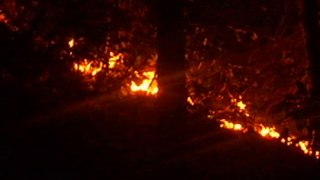 Köyümüzdeki orman yangınından görüntüler..