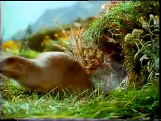 Pub marmotte tetra pack