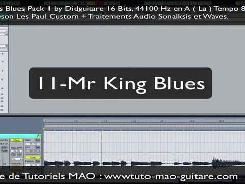 SAMPLES GUITARE BLUES PACK 1 by DIDGUITARE