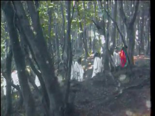 Dillere Destan (Yıldız Tilbe)