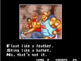Fatal fury spécial: Axel hawk