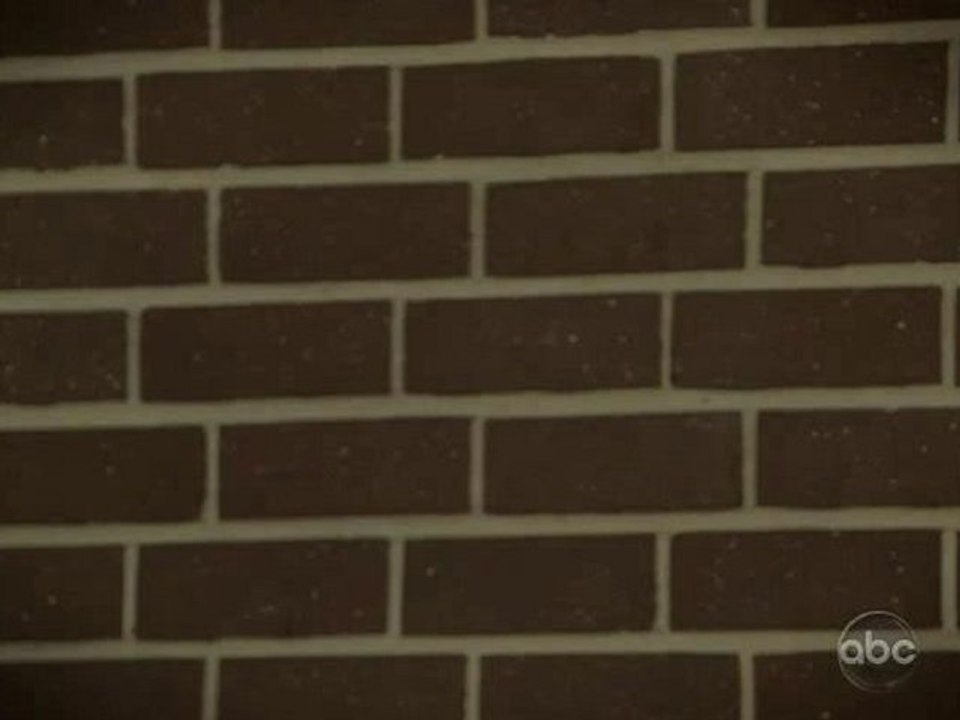 doE Two and a Half Men Seas 8 X 8 {2/5} posle