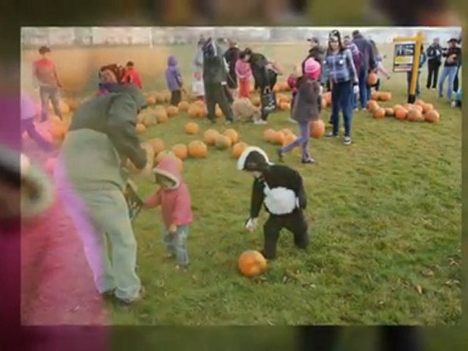 The Great Pumpkin Give-Away! Evanston, Calgary AB.