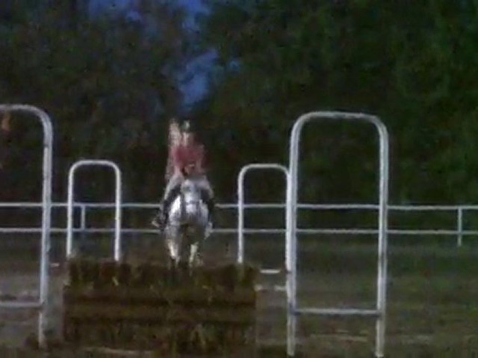 17.11.10 - cours obstacle 6