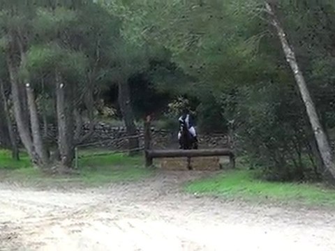 cce cornillon ** cross **