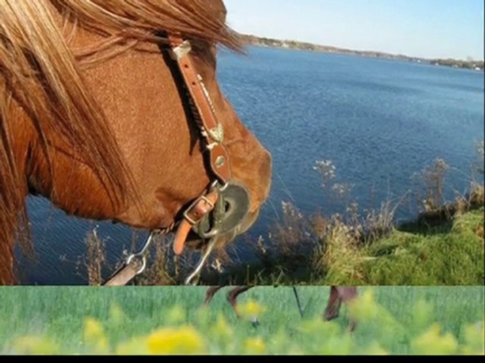 Ranch el-faress