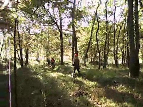 Chasse à tir dans le GERS : début de traque