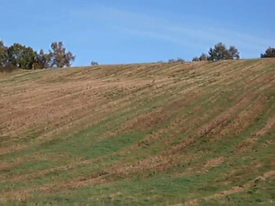 Le tir manqué du chevreuil dans une chasse du Gers