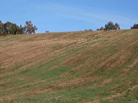 Le tir manqué du chevreuil dans une chasse du Gers