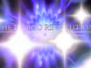 The Indigo Revolution [Promo video 2]