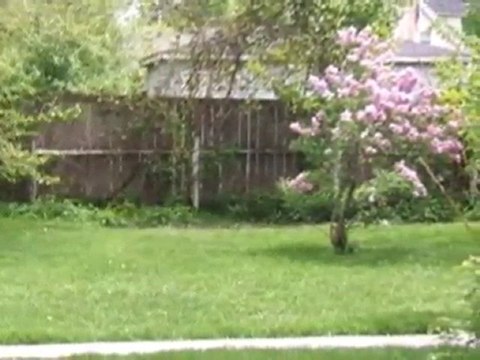 Homes for Sale - 1718 Lake St - Evanston, IL 60201 - Coldwel