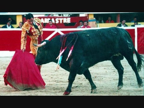 Bullfights