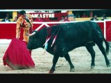 Bullfights