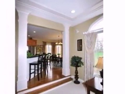 Homes for Sale - 3834 Grand View Ct - Saint Charles, IL 6017