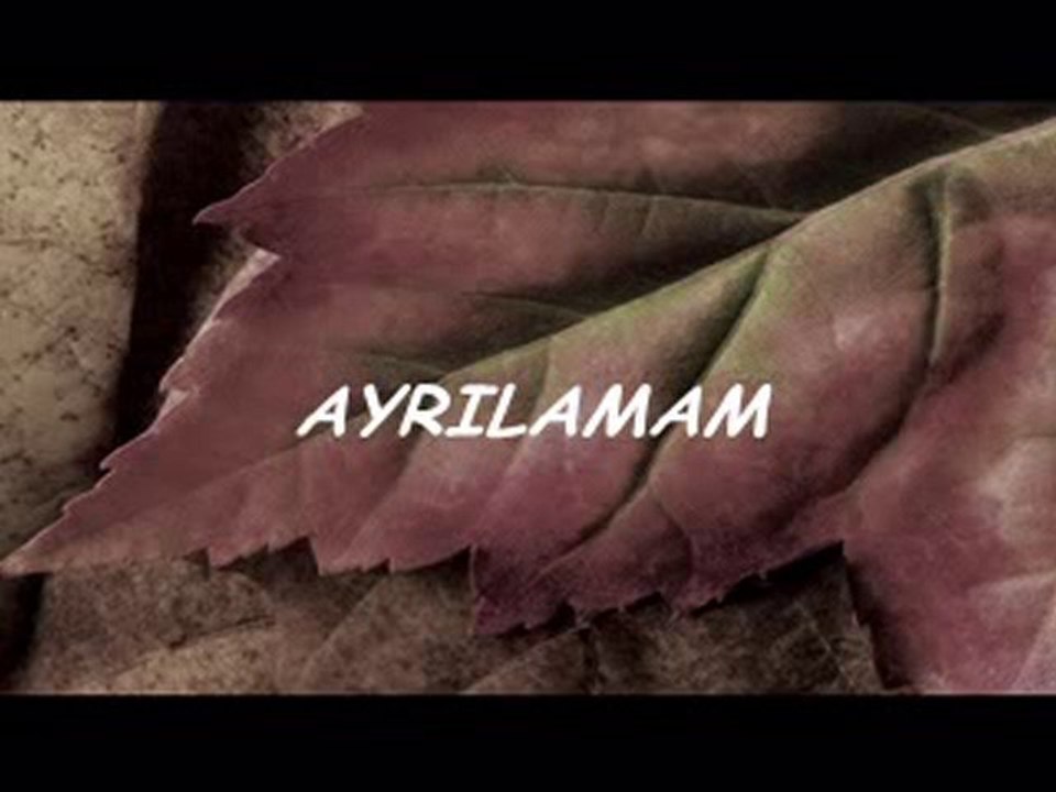 AYRILAMAM - KADİR YILDIRIM