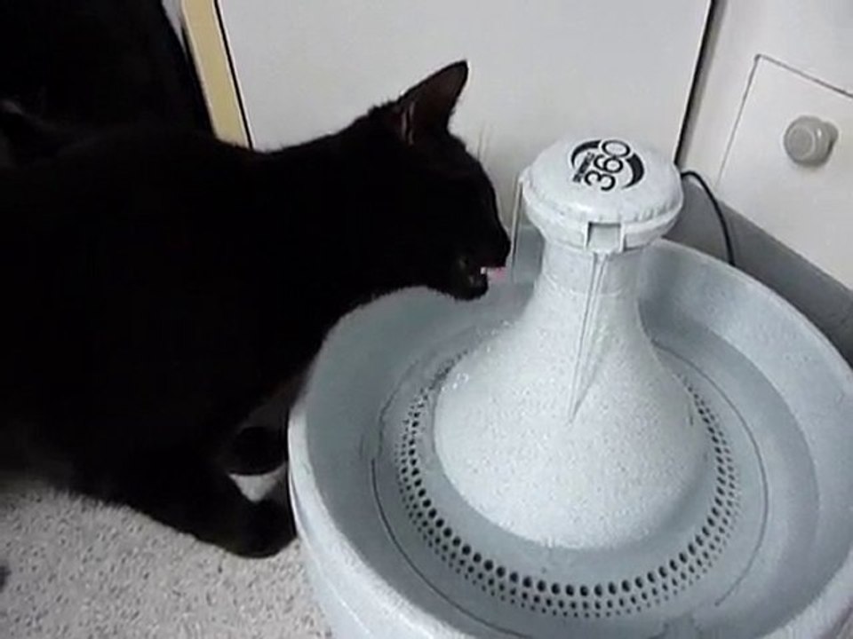 La fontaine selon Coco