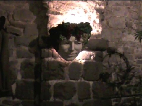 divine soirée dégustation de vin à Avranches (50)