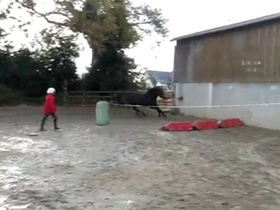 Ecuries du Nevez Quatarina